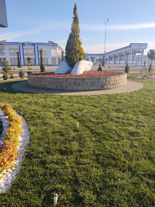 Savdoning lashaf dizayin qilish