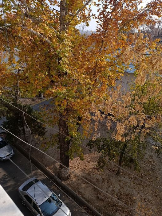 Ул.Боги,бостон 2/3/4 кирпич.64м2.цена 69900