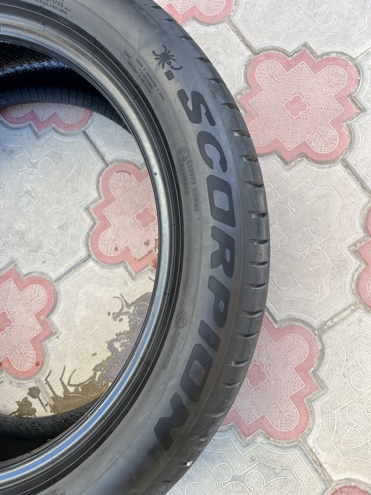 pirelli scorpion r19    3dona bor