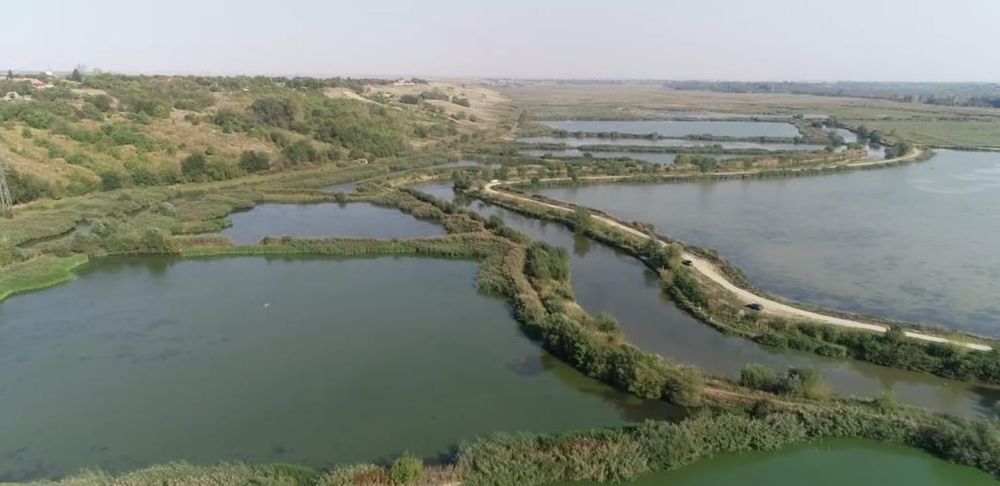 Vand ferma piscicola