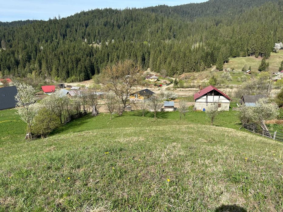 Teren vanzare Petru Voda Neamt