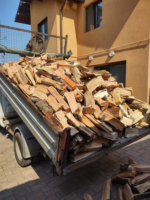 Vand lemne din fag,taiate pentru foc