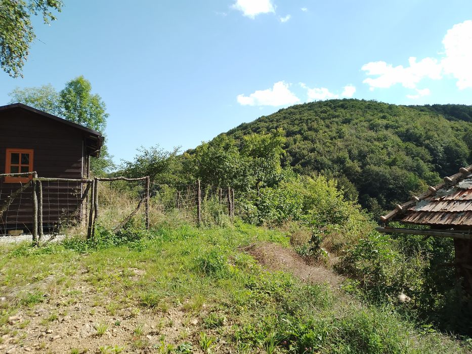 Casa traditionala Ramet  cu teren 1.3 ha si padure schimb mb trac 1600