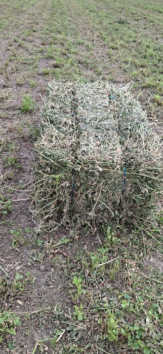 Baloti de lucernă  și paie