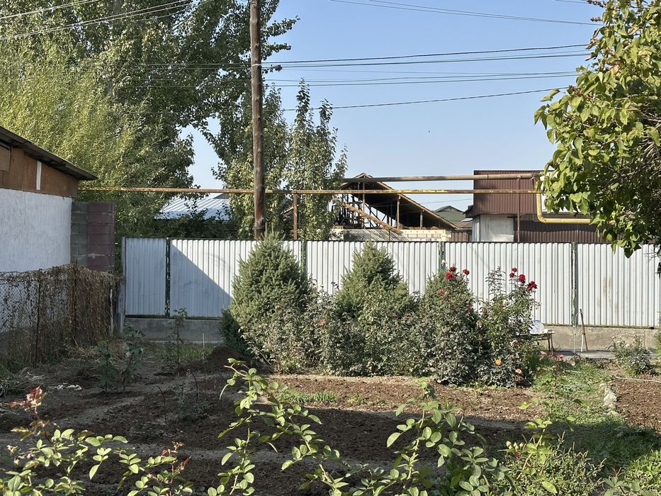 Елка разного размера и высоты продаем от 1 до 2 метров