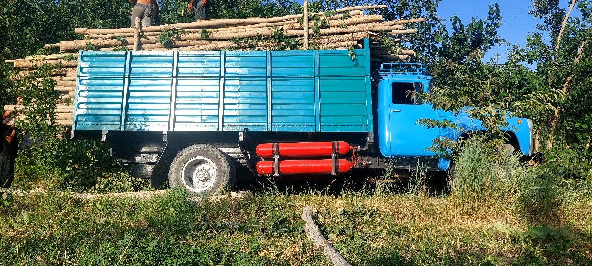 Zil sotilat tayyor pul topishga yozyovonda