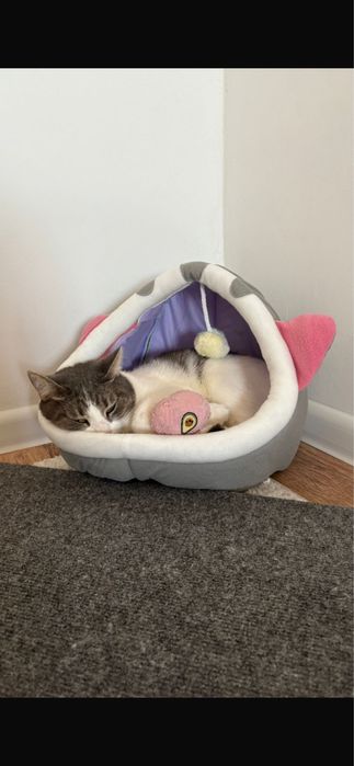 Продам  лежак для  кошок