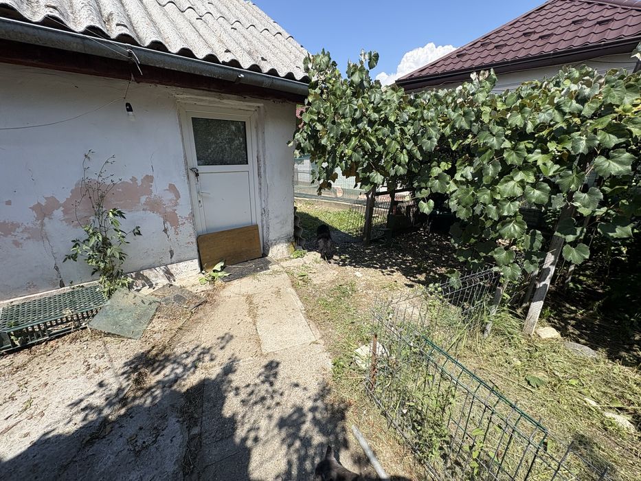 Casă veche + teren 655 m² în Bascov – Lăbușești, Argeș