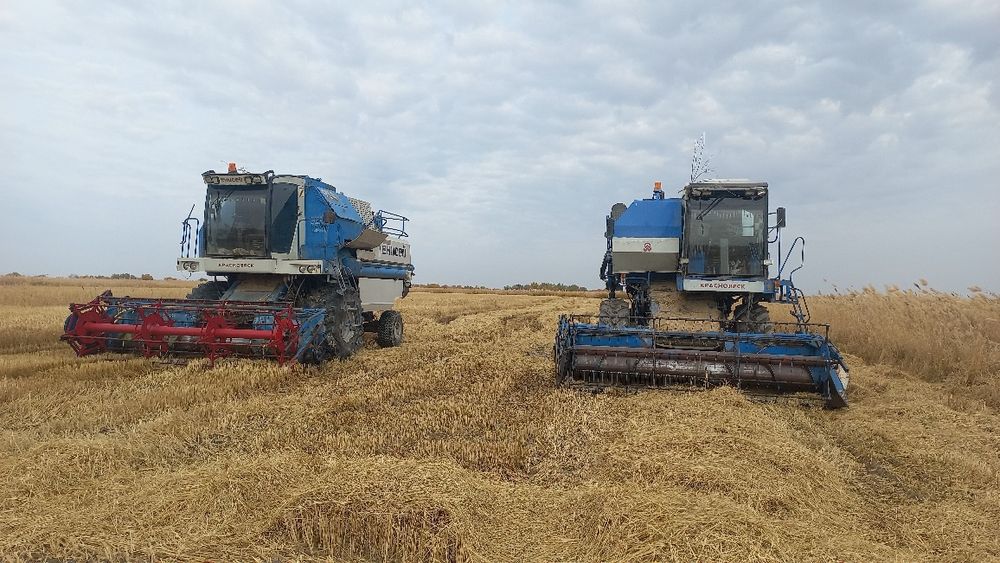 Енисей канбайинлар сотилади