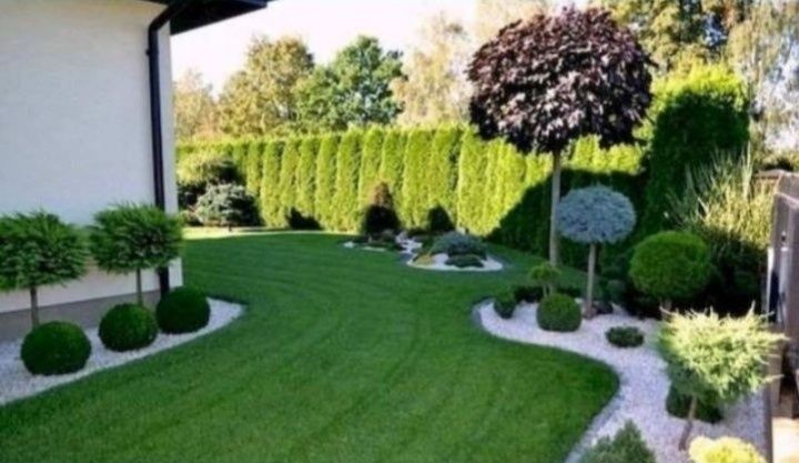 Yevro gazon 10.000 so'm