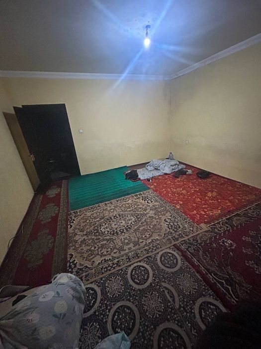 Kvartiraga sheriklikga bir bola olinadi