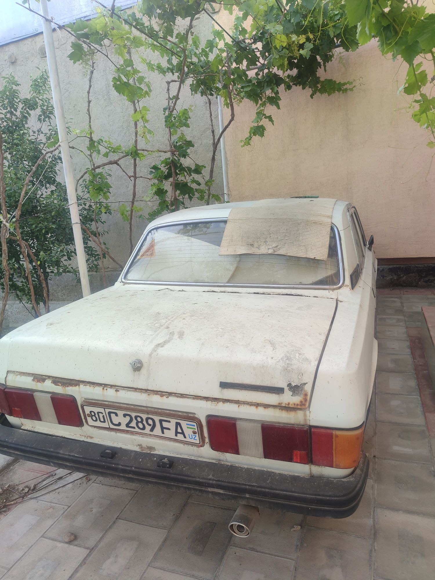 Volga gaz 31029..