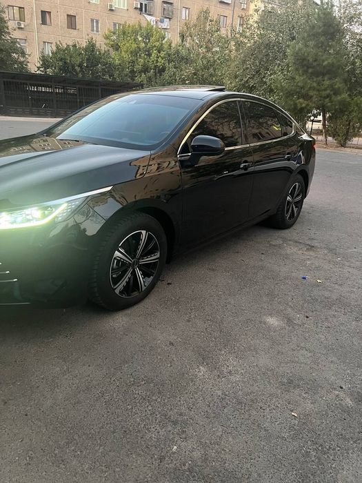 Byd chazor fulli