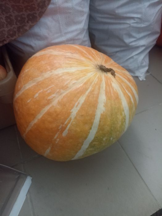Тыква домашняя, сладкая, сочная