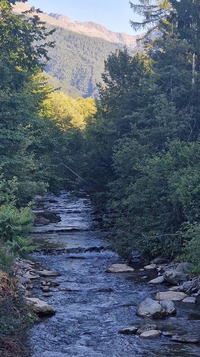 Cabana la munte,de închiriat-Porumbacu,Avrig,Sibiu