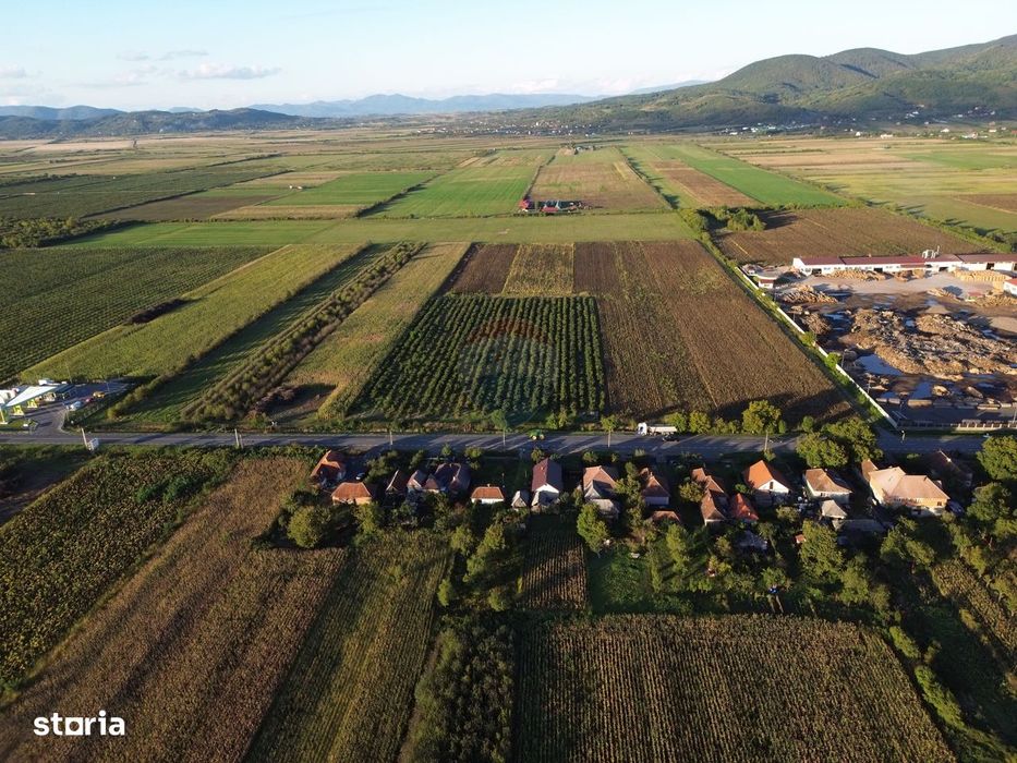 Teren INTRAVILAN 10,778mp Seini E 58 ideal/ activitati economice