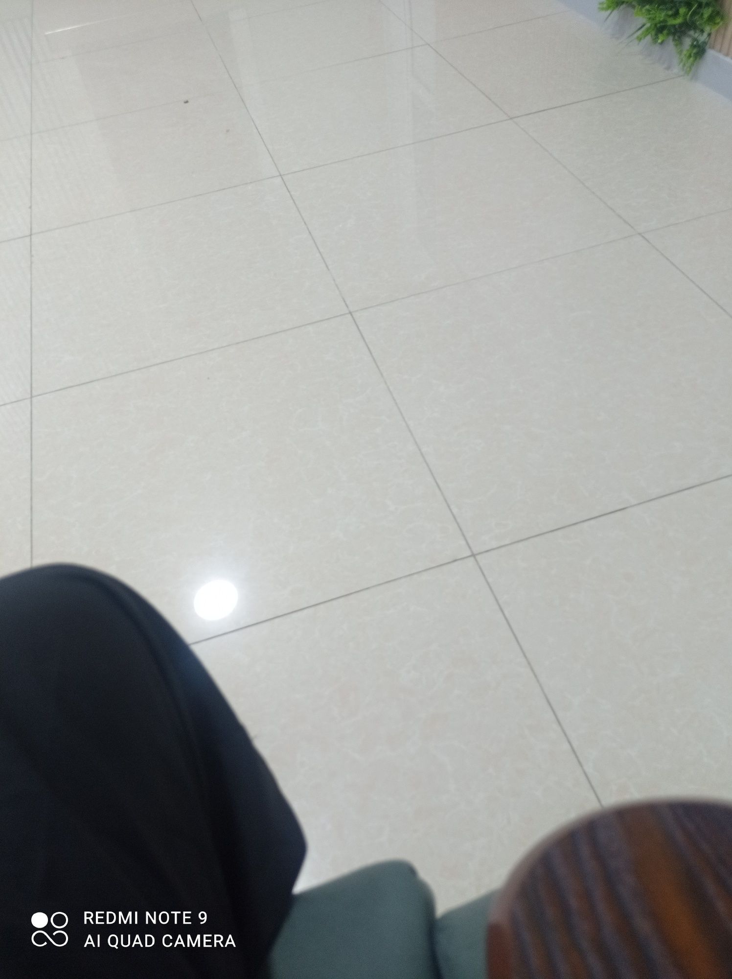Satiladi jaqsi istep tuript