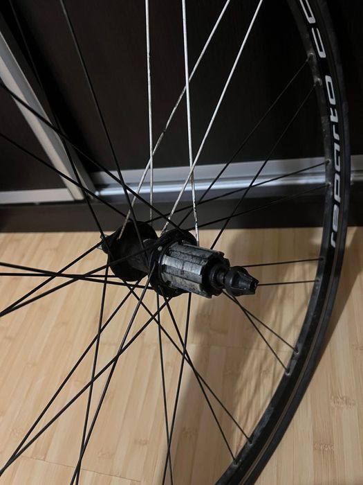 Roata spate Reparto Corse 28" de pe Bianchi Via Nirone 7 Campagnolo