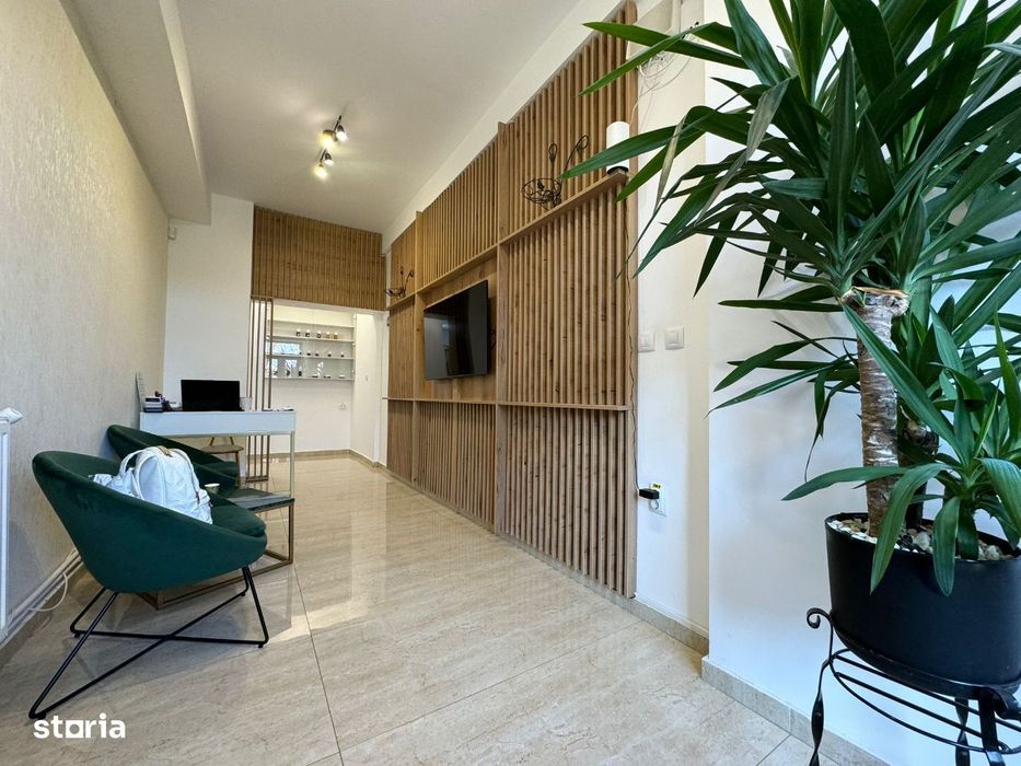 Spatiu comercial Centru A.Panu