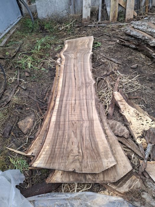 Scandura /foastana de nuc uscata