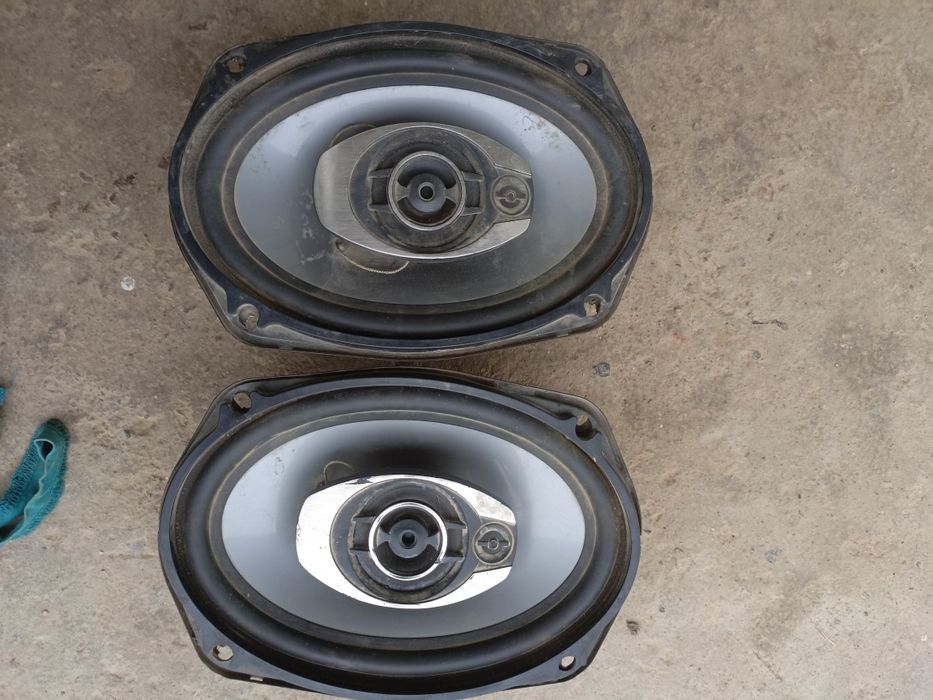 Kalonka qovun pioneer