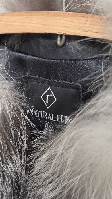 Vesta vulpe argintie