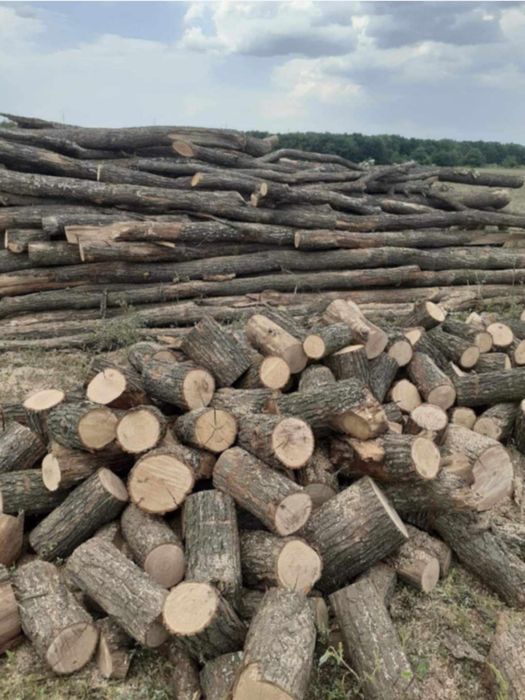 Lemne de foc esențe tari