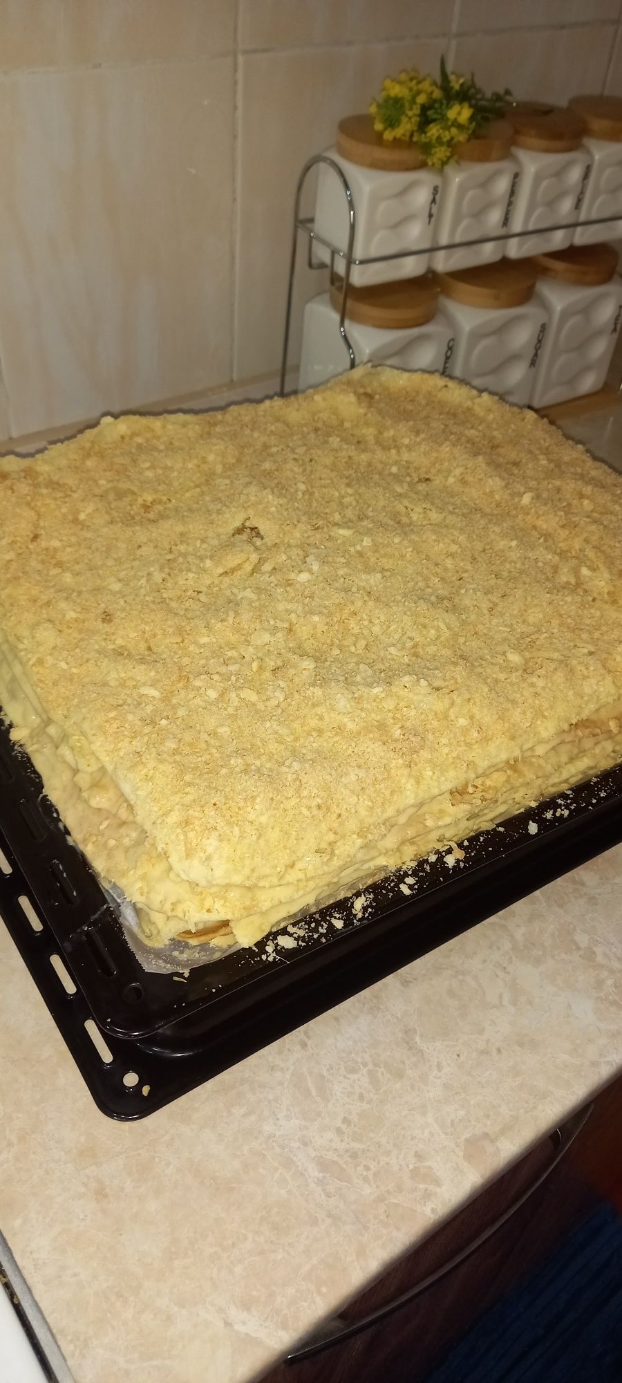 Saryoqqa qilinadi-Napaleon.