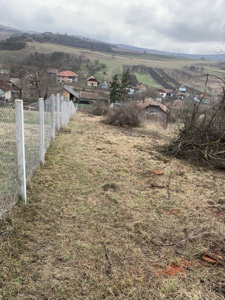 Teren intravilan in Sic