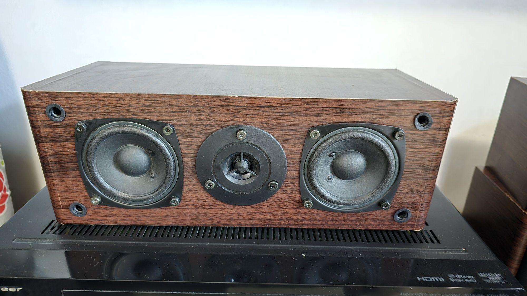 Съраунд колони Pioneer