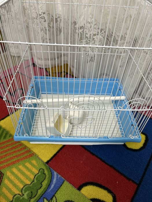 Vand colivie papagali