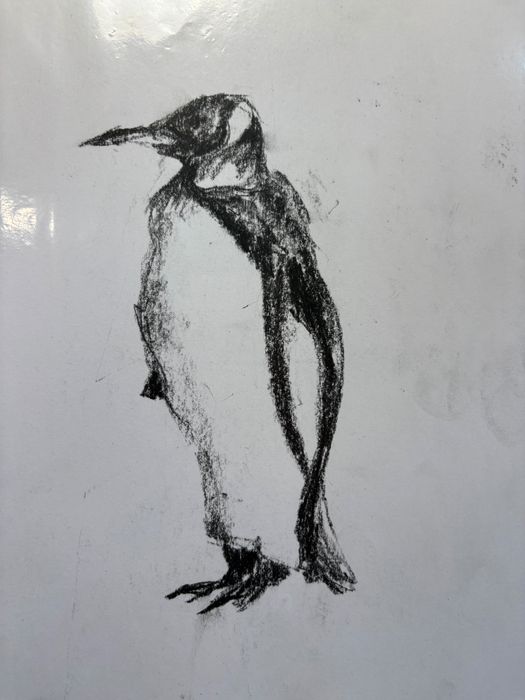 Скици с въглен 106 броя