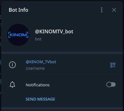 telegram bot yasash xizmati
