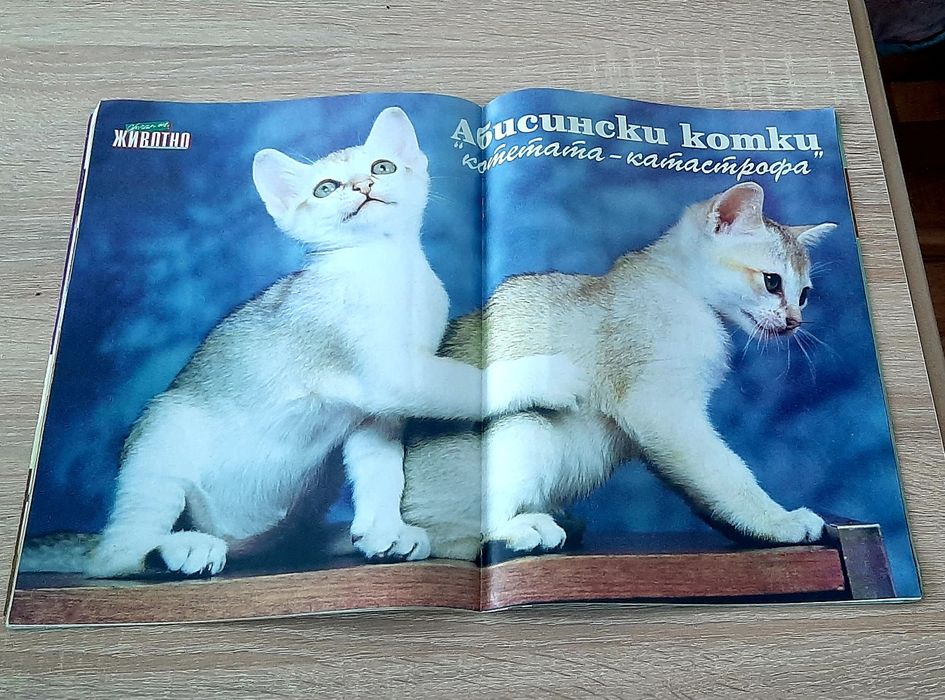 Ретро снимки от 70-80-те год и анхикварна книжка