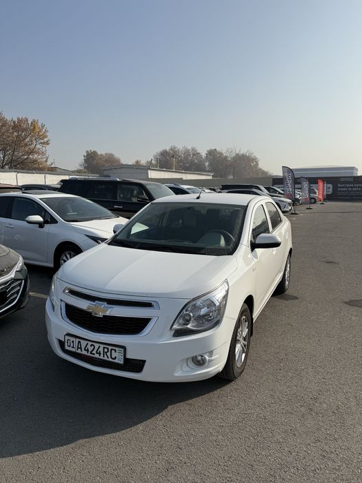 Cobalt 2024 top toza Gazli