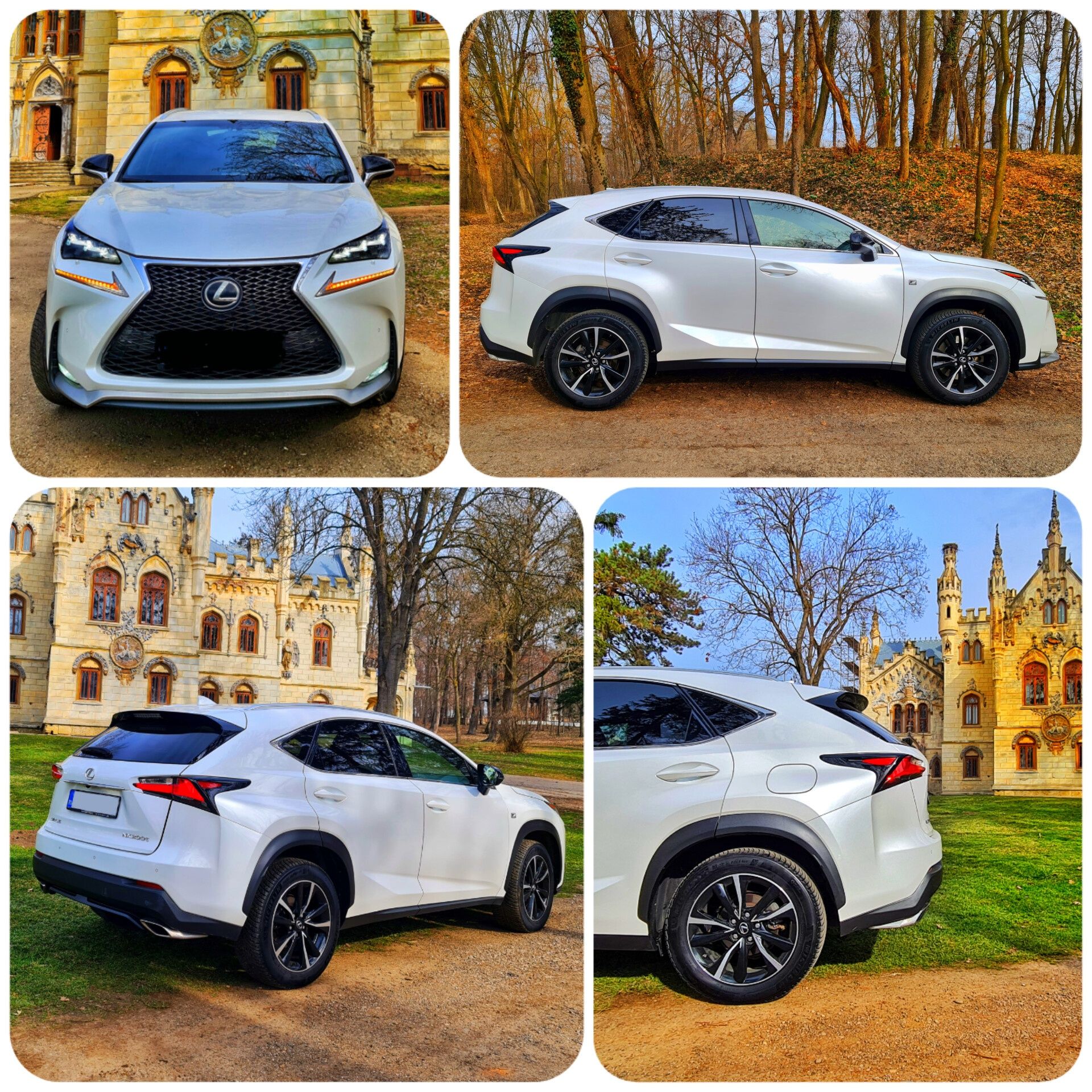 Lexus NX200T F-Sport,Benzina 2.0/240cp!4x4,FULL,Piele rosie,Alb perlă