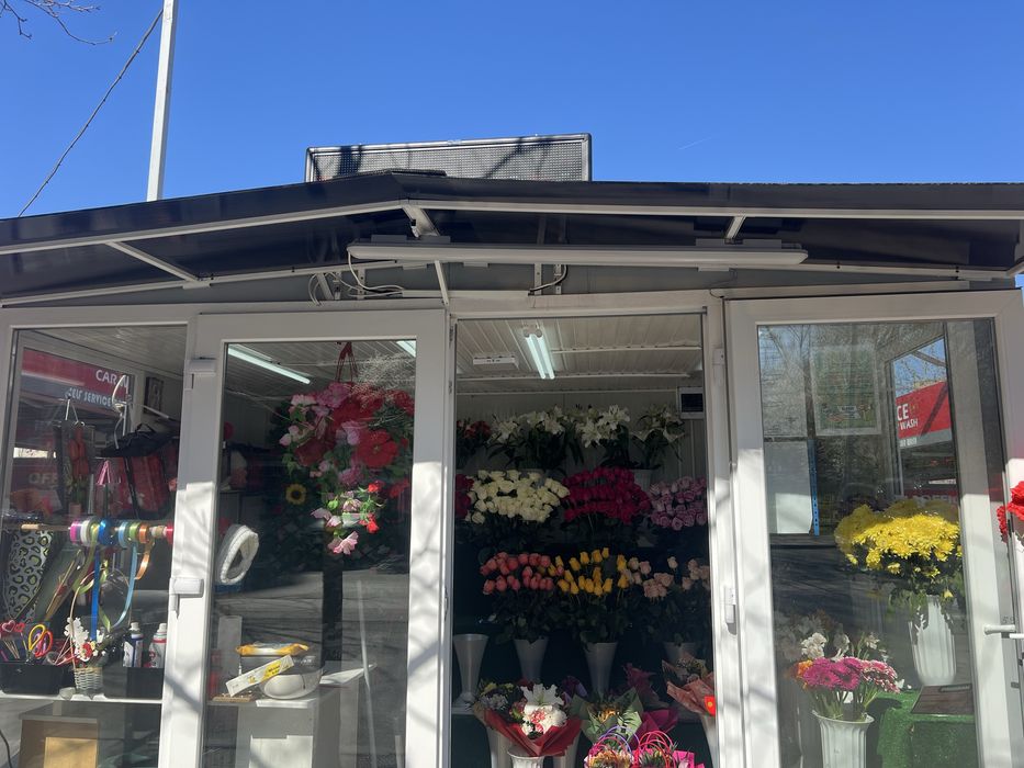 Chiosc flori de vanzare