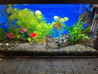 Aquarium Leddy Day&Night