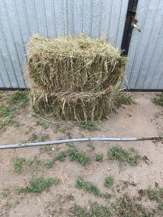 Продам сено в тюках