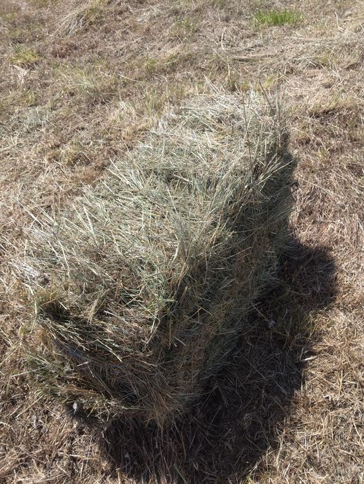 Baloți de fân și lucernă