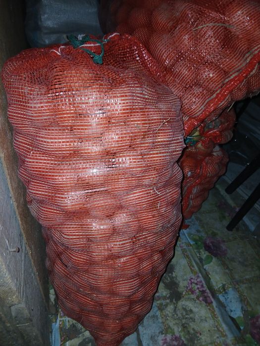 Картошка мешок 5000 срочно