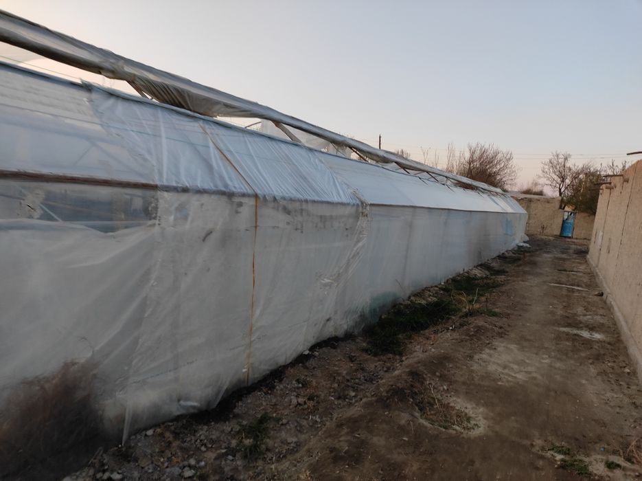 Иссиқхона 5,5 сотиқли tez va арзонга сотяпман