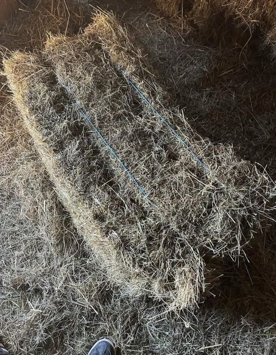 Vând baloți de fân transport la domiciliu mai mult detalii la telefon