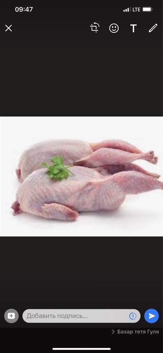 Перепелки. Мясо перепелок всегда свежее в наличии