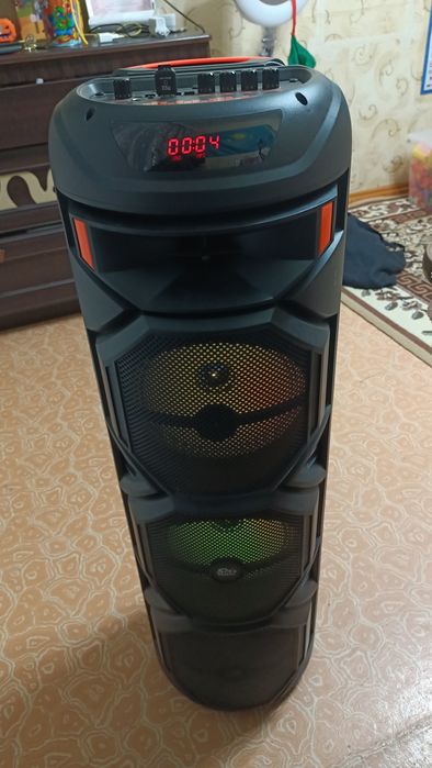 Колонка переносная, на батаре и от сети в отличном состоянии.