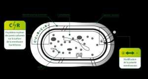 Aparat de nebulizare Nocospray - Aparat dezinfectie