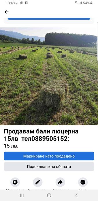 Продавам Бали люцерна 12лв. Село Генерал Тодоров