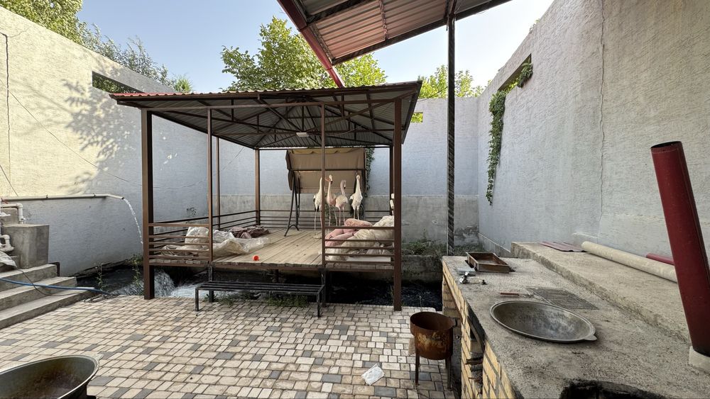 Dacha sotiladi Gazalkenda 14 sotix