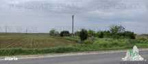Teren intravilan - vanzare - centura - Cazasu - Braila