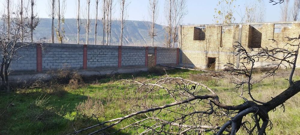 Андижан Храбек 6 сотих
